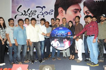 Nuvvala Nenila Audio Launch